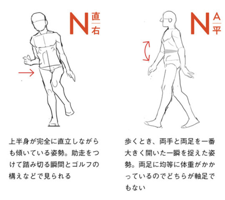 ポーズの定理: 1-6『ポーズの定理』 - 描きたいものを理論でつかむ