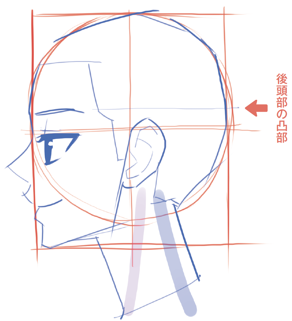 横顔の描き方『パーツごとに学ぶ顔、体、服の描き方』 - ちょこっと人体解剖学で圧倒的にうまく描けるキャラクターデッサン, image size:973x1068